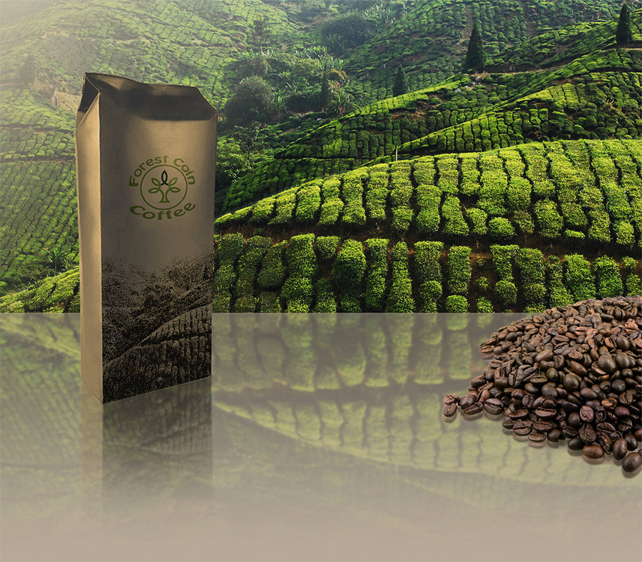 Forest Coin Coffee